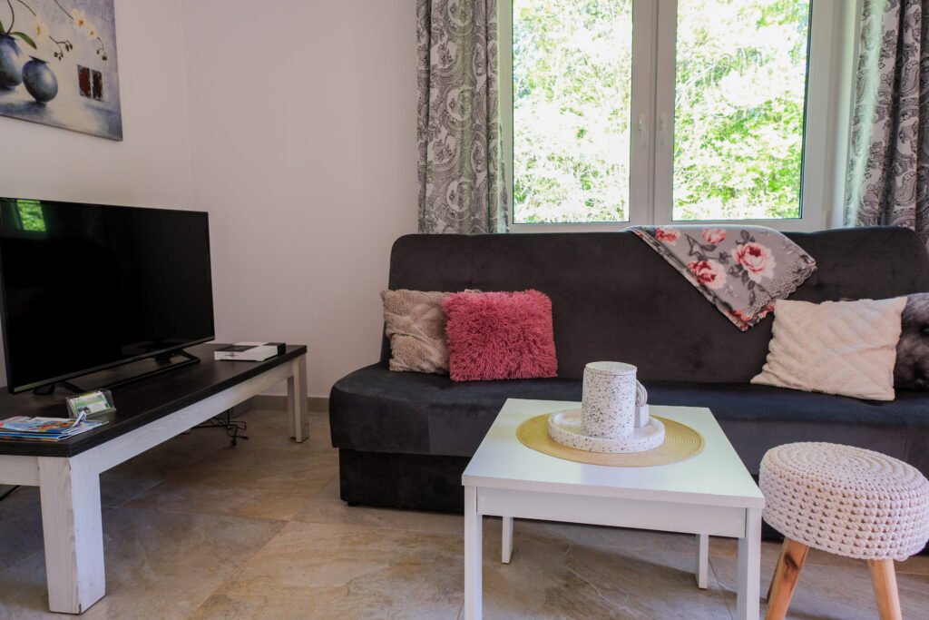 Przytulny salon z ciemnoszarą sofą, stolikiem kawowym i telewizorem, z dużym oknem wychodzącym na zieleń.